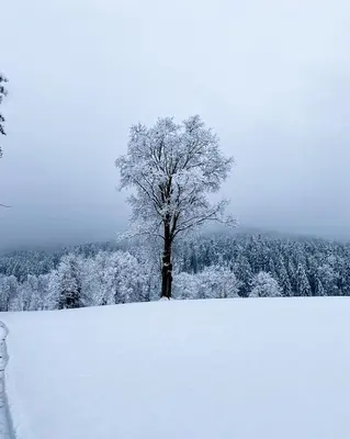 Zum Kistlerwirt im Winter