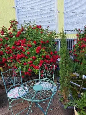 Ein Garten an der Unterkunft Nensi