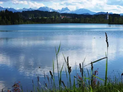 Naturlandschaft in der Nähe des Ferienhauses