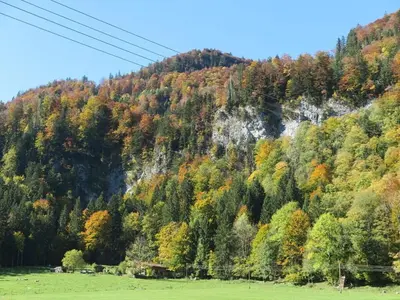 Naturlandschaft in der Nähe des Ferienhauses
