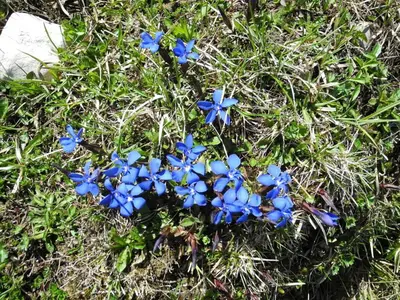 Ein Garten an der Unterkunft Nagelsmederij in het huis Waldwinkel