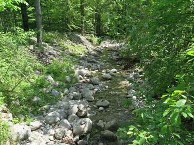 Naturlandschaft in der Nähe des Ferienhauses