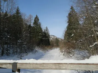 Nagelsmederij in het huis Waldwinkel im Winter