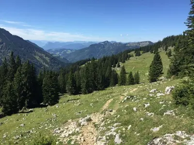 Naturlandschaft in der Nähe des Ferienhauses