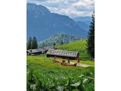 Naturlandschaft in der Nähe des Ferienhauses