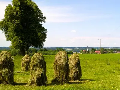 Naturlandschaft in der Nähe der Ferienwohnung