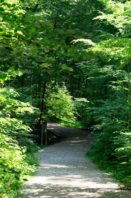 Naturlandschaft in der Nähe der Ferienwohnung