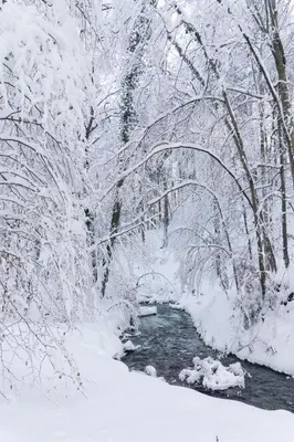 Rückzugsort mitten im Paradies im Winter