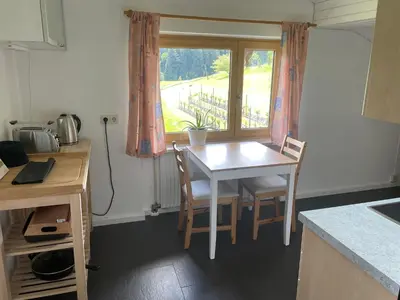 Küche/Küchenzeile in der Unterkunft Apartment Am Weinberg