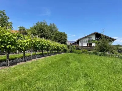Ein Garten an der Unterkunft Apartment Am Weinberg