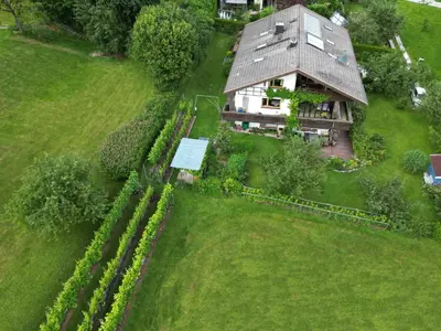Ein Garten an der Unterkunft Apartment Am Weinberg