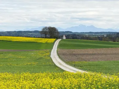 Naturlandschaft in der Nähe der Ferienwohnung