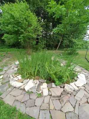 Ein Garten an der Unterkunft Traumhaus im Wald