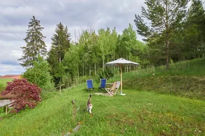 Naturlandschaft in der Nähe der Ferienwohnung