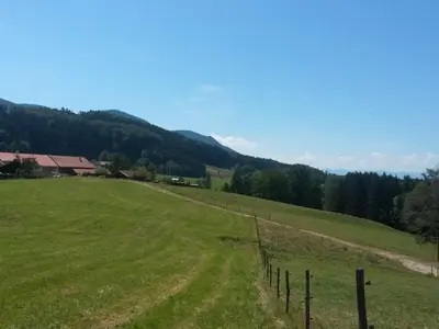 Naturlandschaft in der Nähe des Ferienhauses
