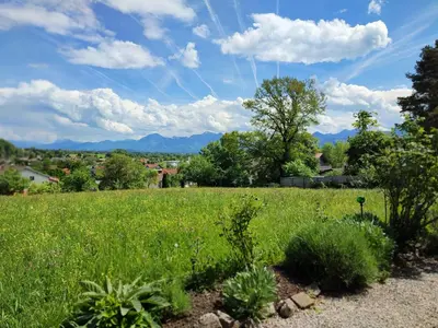 Naturlandschaft in der Nähe des Bauernhofs