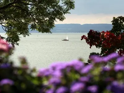 Naturlandschaft in der Nähe des Ferienhauses