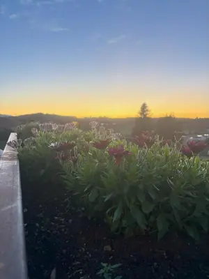 Blick auf den Sonnenuntergang/Sonnenaufgang von der Ferienwohnung aus oder aus der Nähe