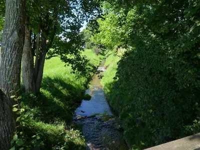 Naturlandschaft in der Nähe der Ferienwohnung