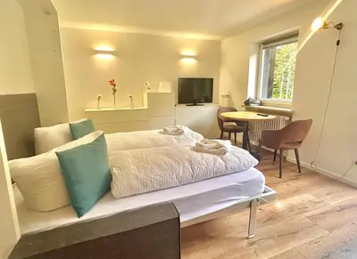 TV/Unterhaltungsangebot in der Unterkunft Ferienwohnung 