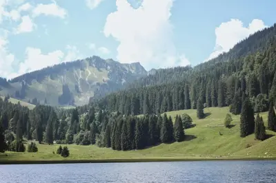Naturlandschaft in der Nähe der Ferienwohnung