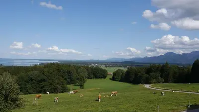 Naturlandschaft in der Nähe der Ferienwohnung