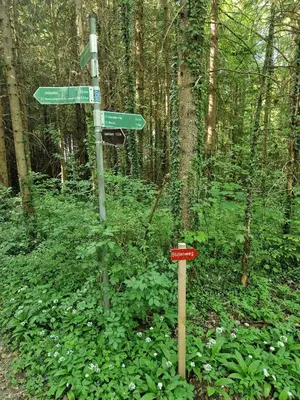 Grundriss der Unterkunft Ferienwohnung Alpenglück
