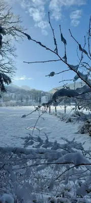 Ferienwohnung Alpenglück im Winter
