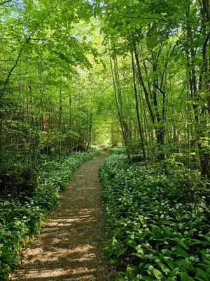 Naturlandschaft in der Nähe der Ferienwohnung