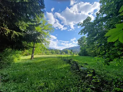 Naturlandschaft in der Nähe der Ferienwohnung