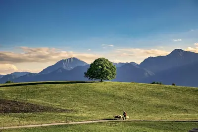 Naturlandschaft in der Nähe der Ferienwohnung