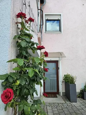 Ein Garten an der Unterkunft Ferienhaus am Grünen Bug