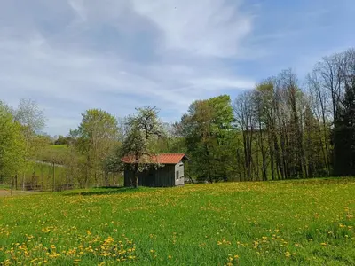 Naturlandschaft in der Nähe der Ferienwohnung
