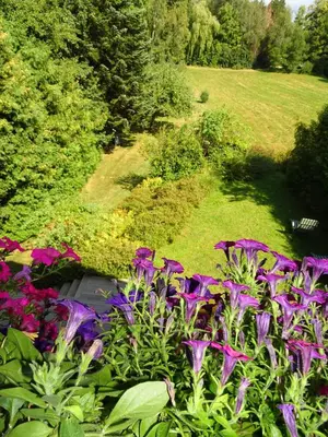 Ein Garten an der Unterkunft Elbrächter