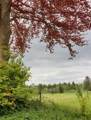 Naturlandschaft in der Nähe der Ferienwohnung