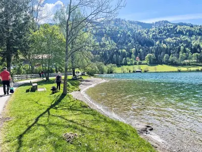 Naturlandschaft in der Nähe des Ferienhauses