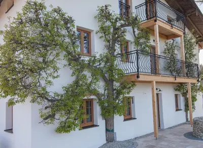 Das Gebäude in dem sich die Ferienwohnung befindet