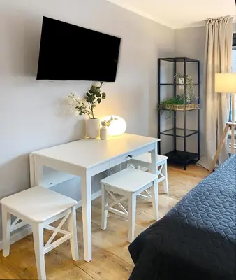 TV/Unterhaltungsangebot in der Unterkunft Cozy apartment in city center