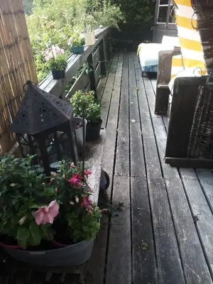 Ein Garten an der Unterkunft Ferienwohnung am Walnussbaum