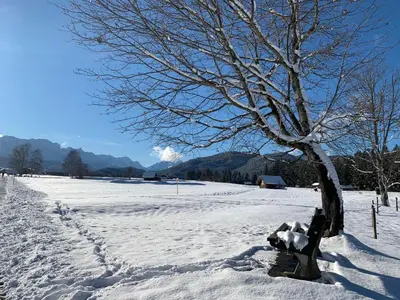 Ferienwohnung Alpina 1 im Winter