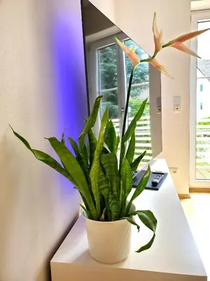 Grundriss der Unterkunft Apartment Chalet am Schloss Kaltenberg nahe Ammersee