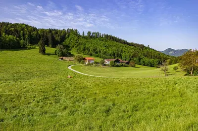 Naturlandschaft in der Nähe des Bauernhofs