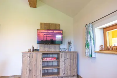 TV/Unterhaltungsangebot in der Unterkunft Wieserhof
