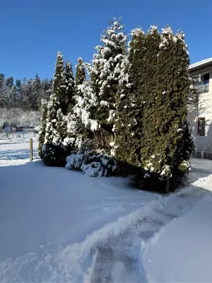 Ferienwohnung Mußner im Chiemgau im Winter