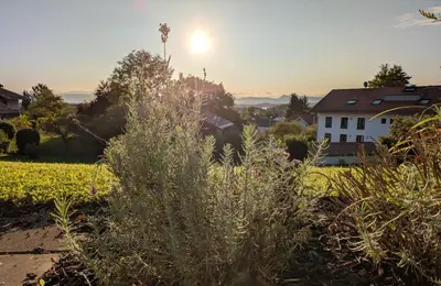Ein Garten an der Unterkunft Ferienwohnung EG mit Bergblick