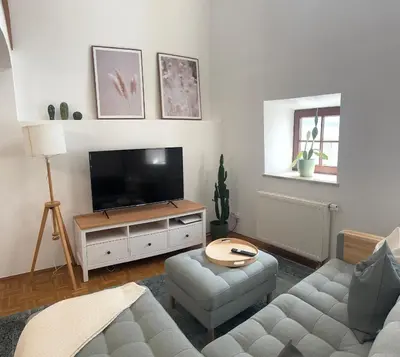 TV/Unterhaltungsangebot in der Unterkunft Rare Gem in Wasserburg