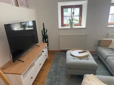 TV/Unterhaltungsangebot in der Unterkunft Rare Gem in Wasserburg