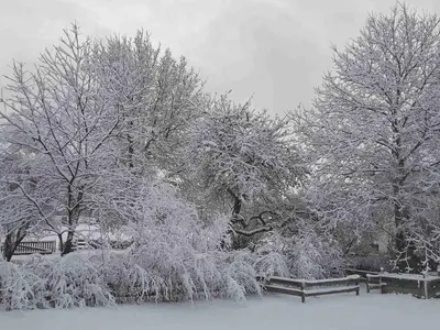Ferienwohnungen Stecher im Winter