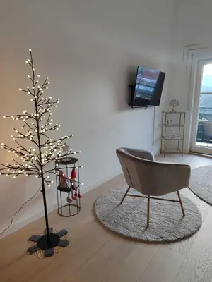 TV/Unterhaltungsangebot in der Unterkunft Ferien-Loft Resi I - Infrarotsauna