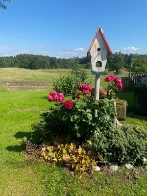 Ein Garten an der Unterkunft Kalbhof
